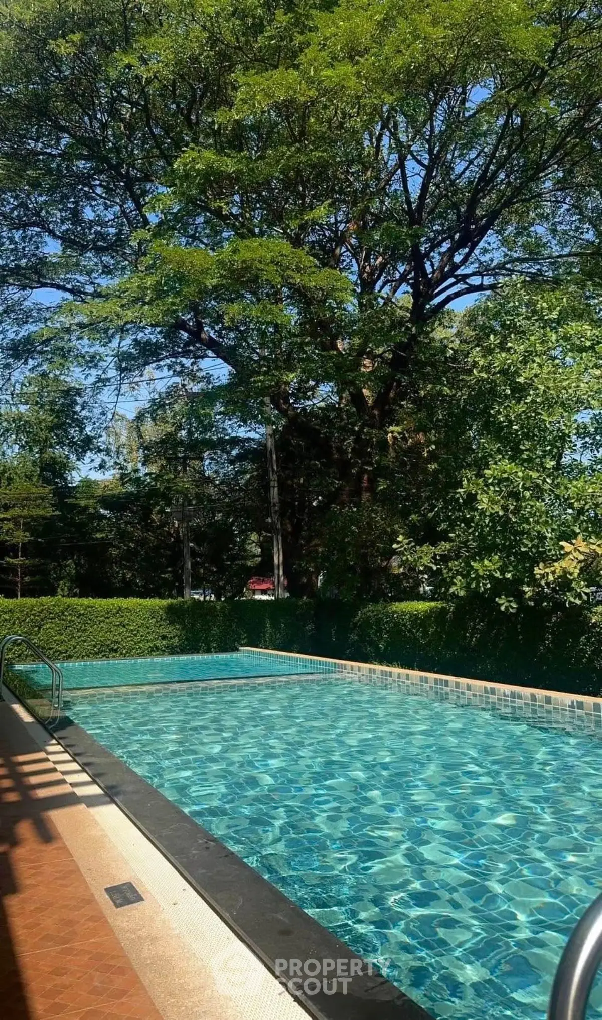 Luxurious outdoor pool surrounded by lush greenery, perfect for relaxation and leisure.