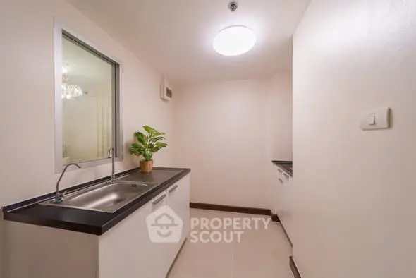 Modern minimalist kitchen with sleek countertops and potted plant decor.