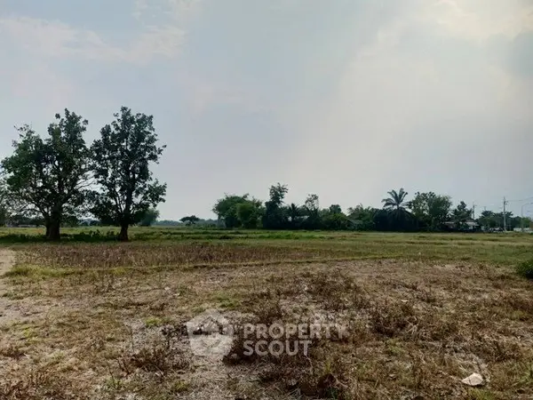 image_rental-29946881