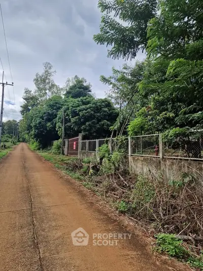 Scenic rural road with lush greenery and fenced property, ideal for nature lovers.
