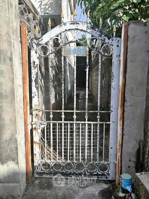 image_rental-28315111