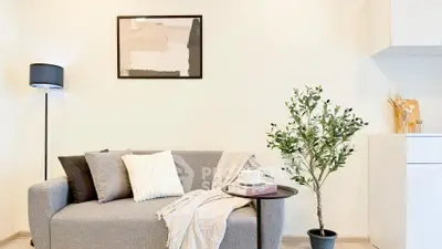 Chic living room with modern decor and cozy ambiance