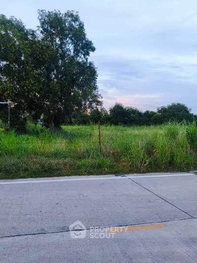 Spacious land plot with lush greenery and clear sky, ideal for development or investment opportunities.