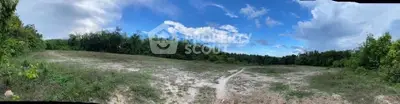 Expansive land plot with lush greenery and clear blue sky, perfect for development opportunities.