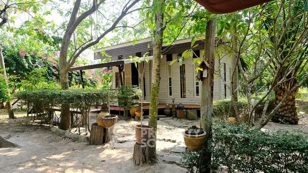 image_rental-15154437