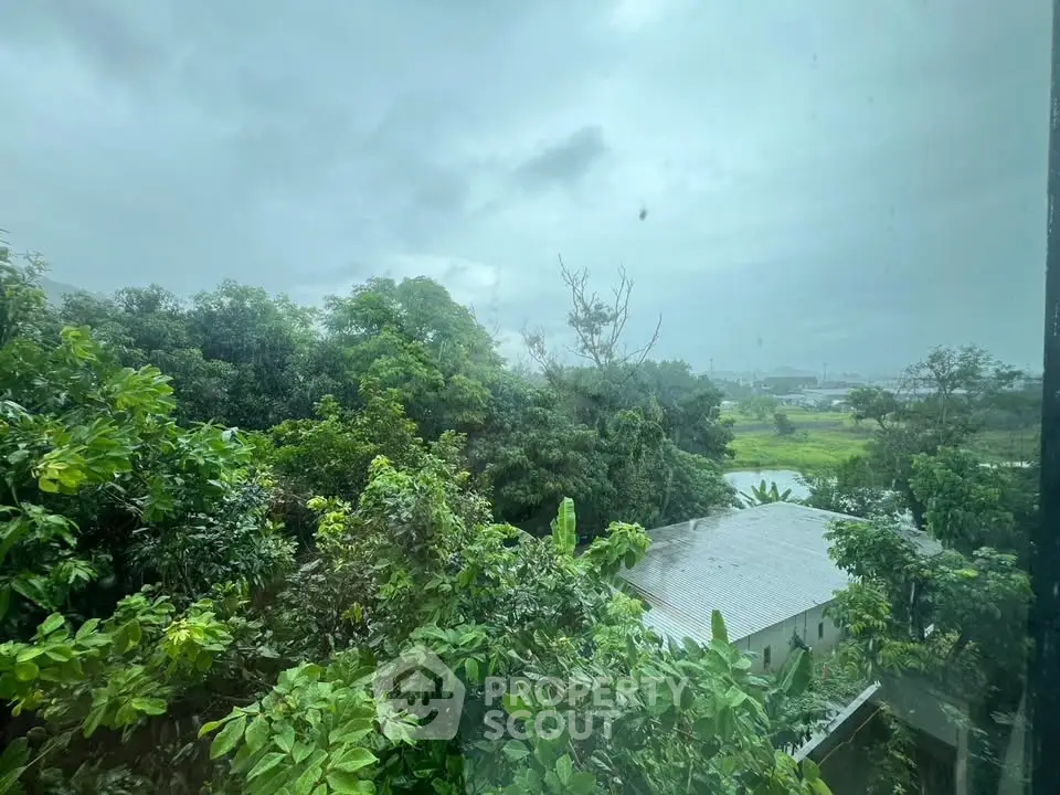 Lush green view from a property window showcasing serene natural surroundings.