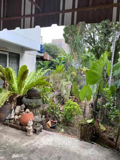 Charming garden view with lush greenery and decorative pots in a serene residential setting.