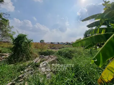 Expansive land with lush greenery and distant houses under a bright sky.