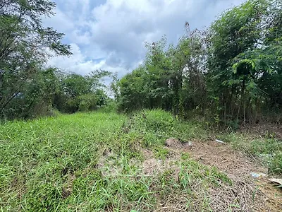 Lush green vacant land with potential for development under a clear sky.