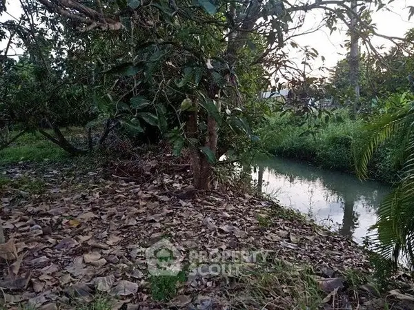 image_rental-32825751