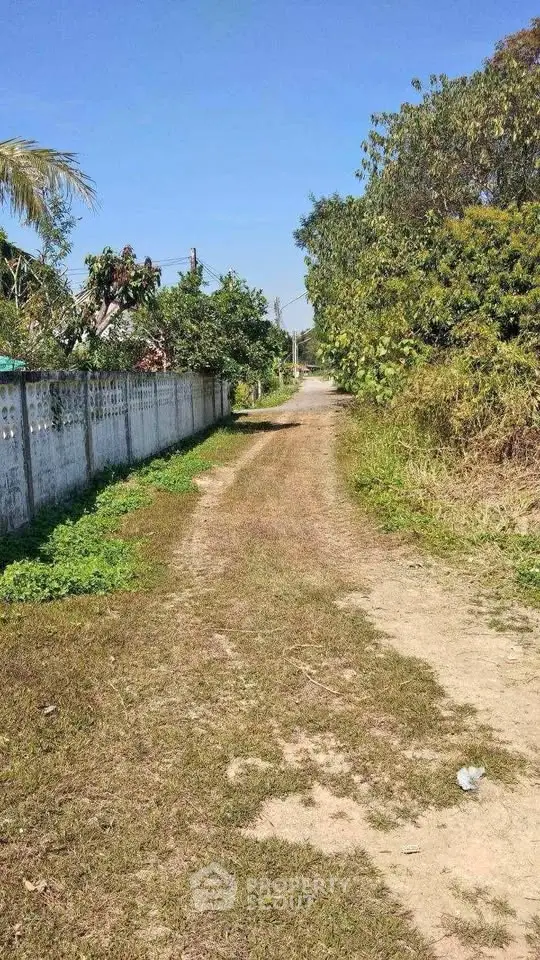 image_rental-27754597