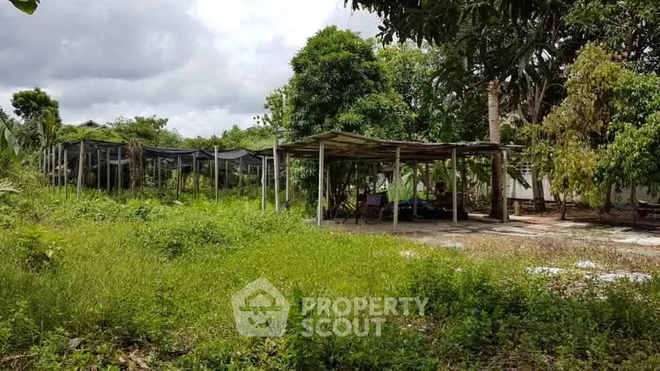 Spacious garden area with lush greenery and covered seating, ideal for outdoor relaxation.