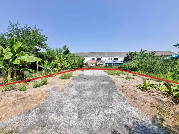 image_rental-31560069