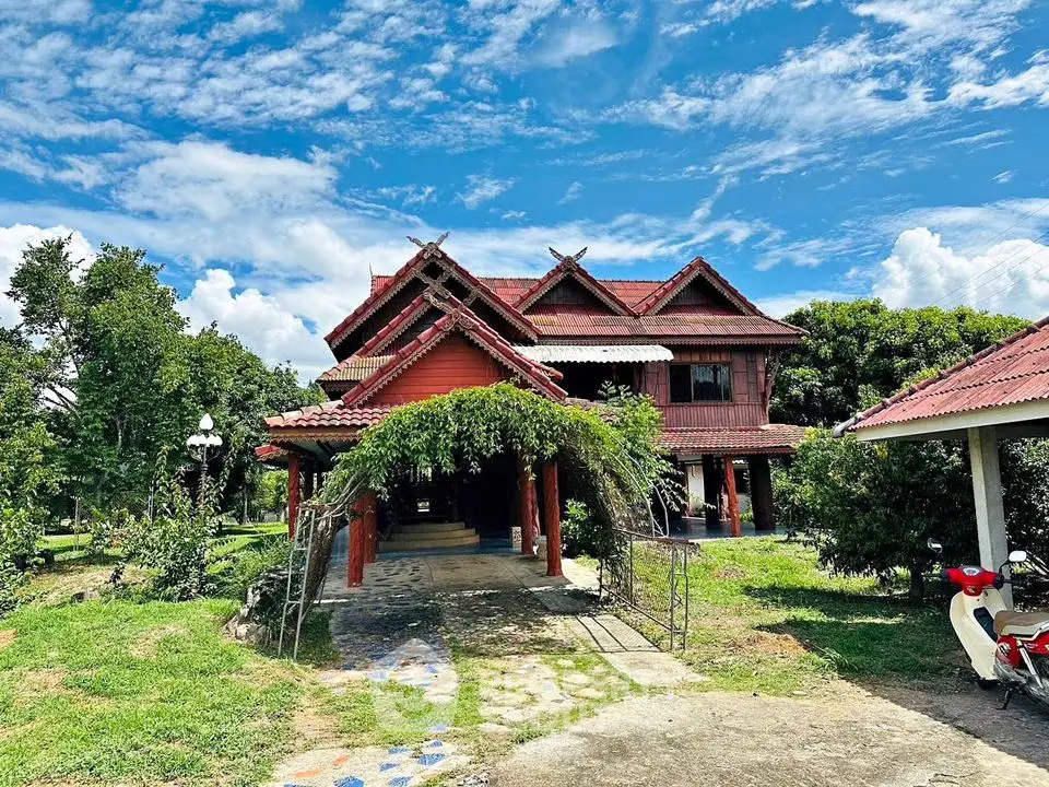 Charming traditional wooden house with lush garden and blue sky backdrop