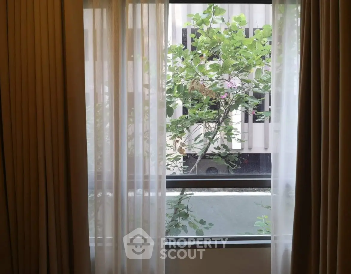 Elegant window view with lush greenery and modern building facade.