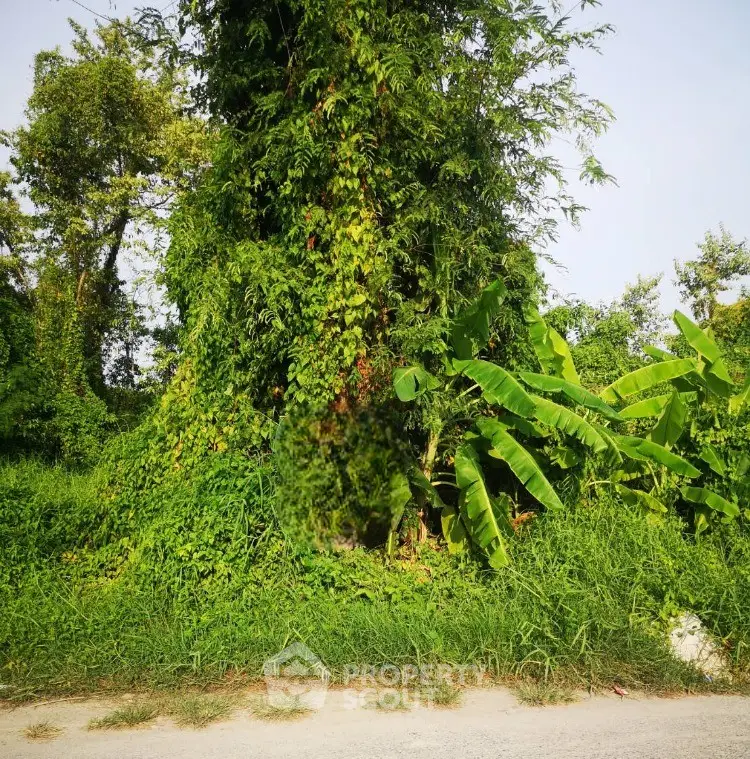 2073315-Photoroom.png
