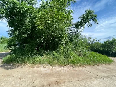 Vacant land plot with lush greenery and clear blue sky, ideal for development opportunities.