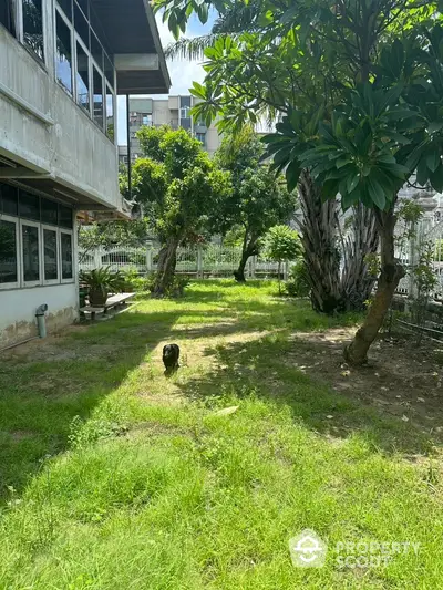 Spacious garden area with lush greenery and mature trees in a residential property.