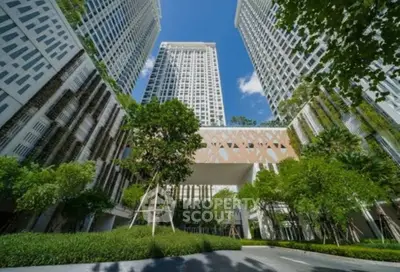 image_rental-30167629