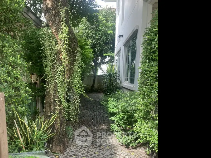 Charming garden pathway beside a modern house with lush greenery and natural light.