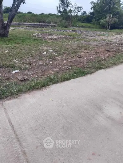 image_rental-30795138