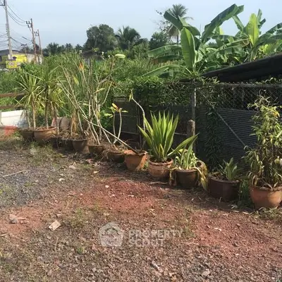 Charming garden area with potted plants and lush greenery, perfect for nature lovers.