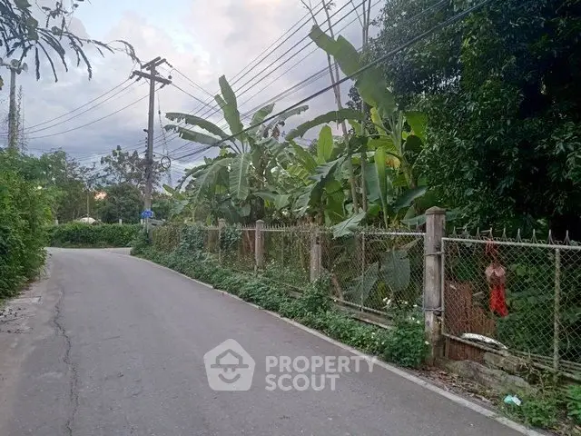 Charming rural road with lush greenery and fenced garden, ideal for serene living.