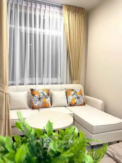 Cozy living room with elegant curtains and stylish sofa in modern apartment.