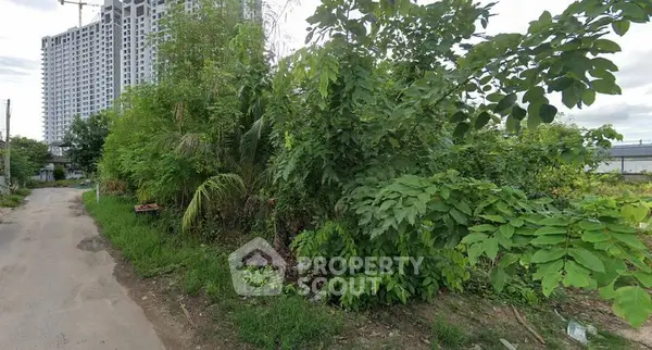 image_rental-24429966