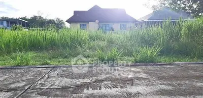 image_rental-30423393