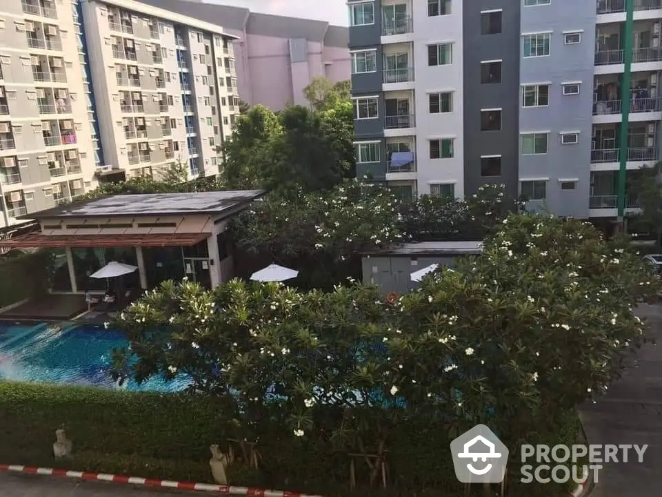 Modern apartment complex with lush greenery and inviting swimming pool view.