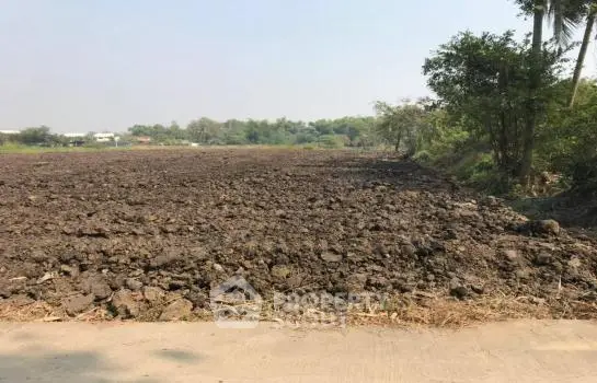 image_rental-21910325