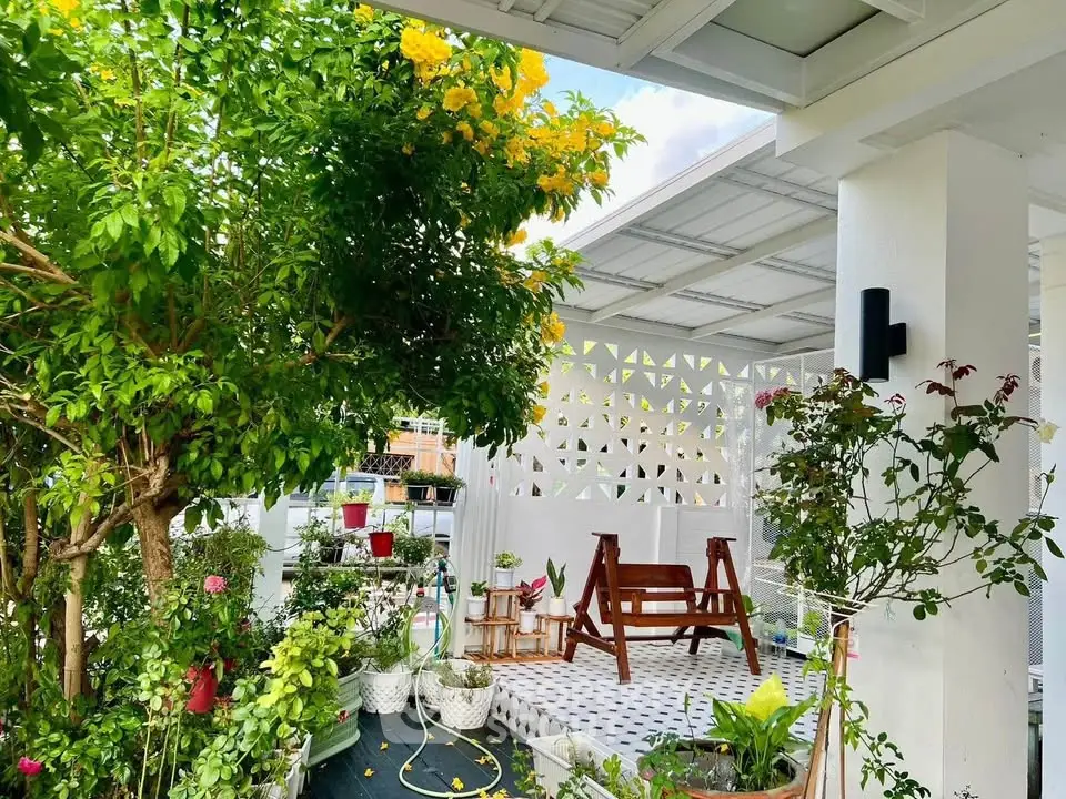 Charming garden patio with lush greenery and cozy seating area, perfect for relaxation.