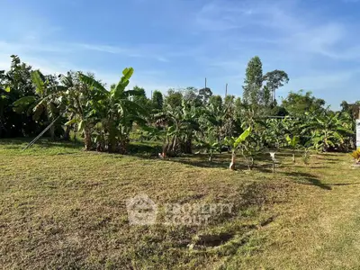 image_rental-30598457