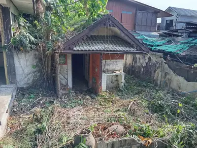 Charming fixer-upper property with rustic exterior and lush greenery, perfect for renovation enthusiasts.
