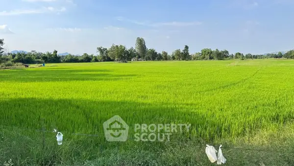 image_rental-26811956