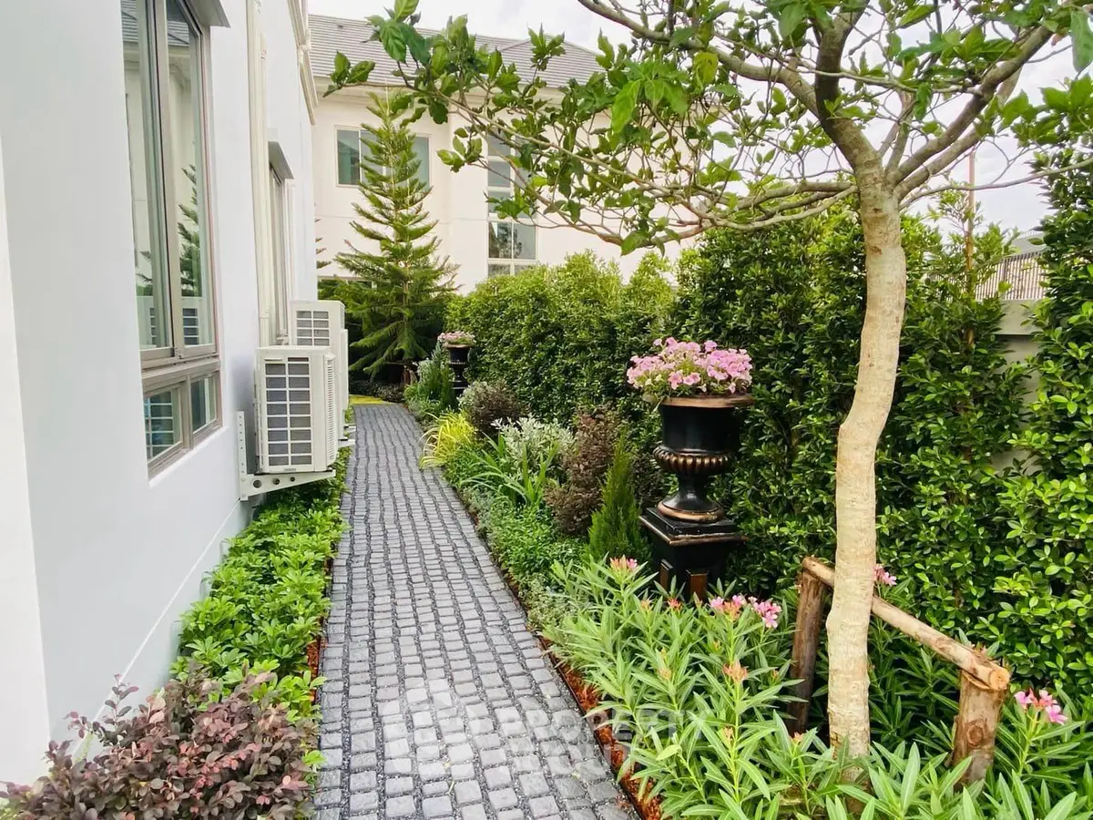 Charming garden pathway with lush greenery and elegant landscaping in a modern residential setting.