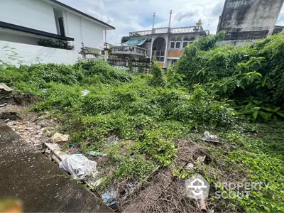 Vacant land plot with lush greenery and potential for development