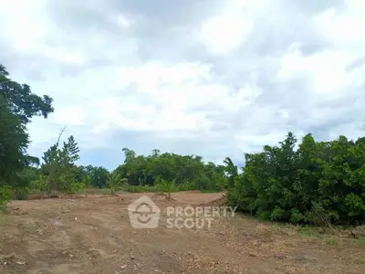 Expansive land plot with lush greenery, ideal for development or agriculture.