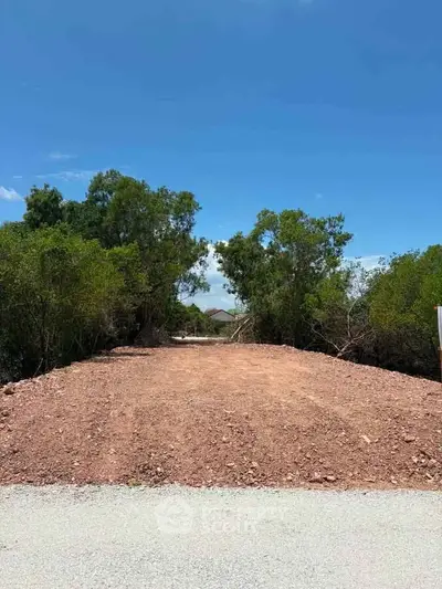 Expansive land plot with lush greenery, perfect for development opportunities.