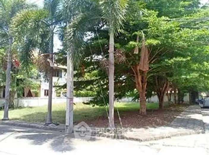 Prime corner lot with lush greenery and palm trees, ideal for development.