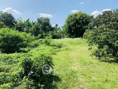 Expansive green land with lush trees under a clear blue sky, perfect for development.