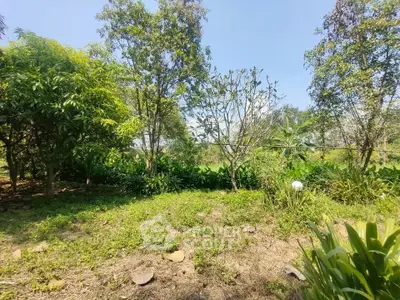 Lush green garden with trees and open sky, perfect for nature lovers.