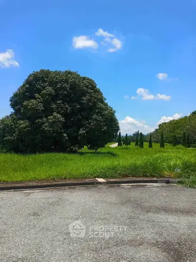 Expansive green landscape with lush trees under a clear blue sky, perfect for real estate development.
