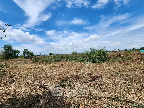 image_rental-11736592