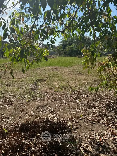 Spacious vacant land with lush greenery, perfect for development opportunities.