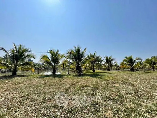 Expansive land with lush palm trees under a clear blue sky, perfect for development or agriculture.