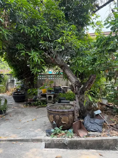 Charming garden area with lush greenery and decorative pots, perfect for outdoor relaxation.