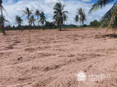 Expansive tropical land ready for development, surrounded by lush palm trees with a clear blue sky, ideal for a serene residential or resort project.