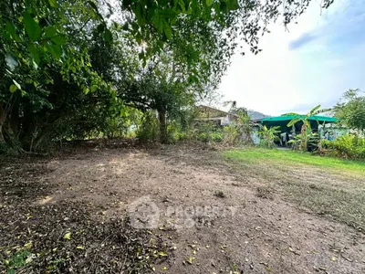 Spacious garden plot with lush greenery and potential for landscaping